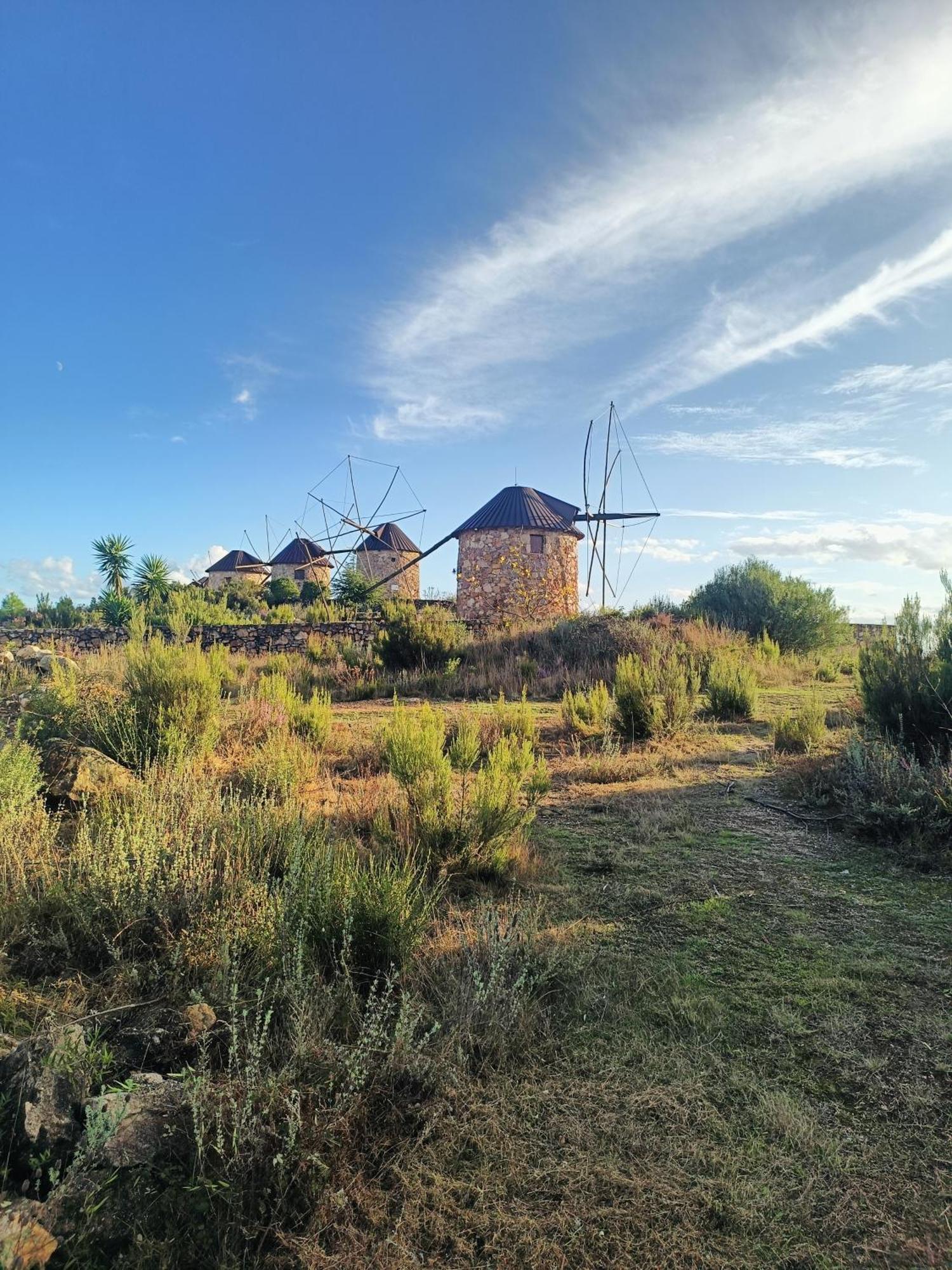 Moinho Da Alfazema Villa Penacova Ngoại thất bức ảnh